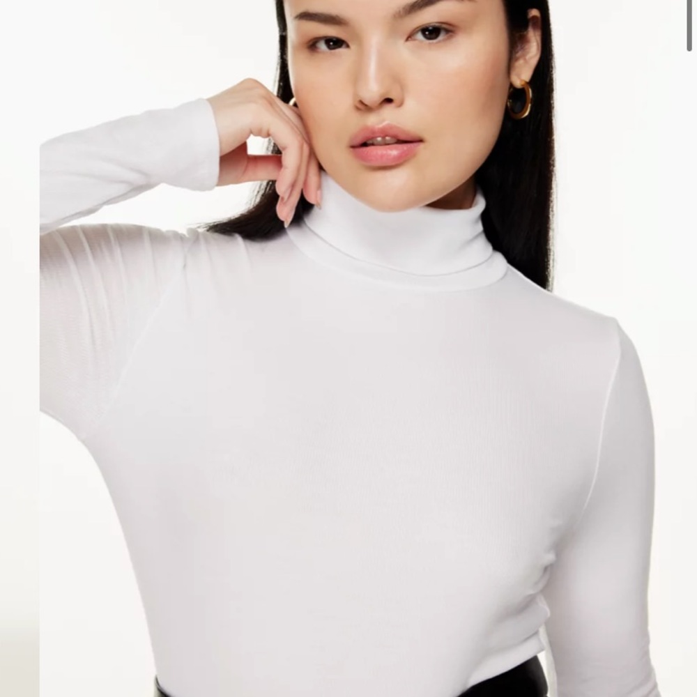 Aritzia Sunday Best Turtleneck